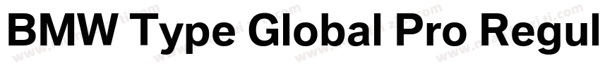 BMW Type Global Pro Regular字体转换